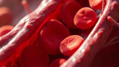 Zvýšený hemoglobin co to znamená - ilustrační foto