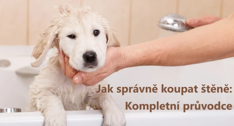 Koupání štěněte v kádince s vodou.