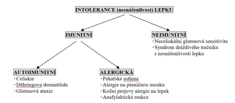 Schéma klasifikace nesnášenlivosti lepků včetně ekzému.