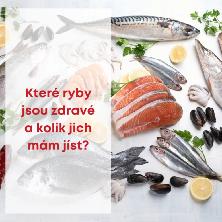 Různé druhy čerstvé ryby a mořských plodů pro zdravou stravu.