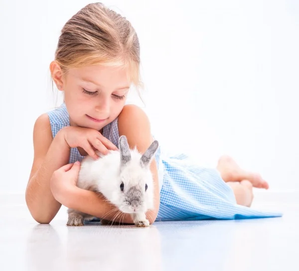 Dívka drží holandského zakrslého králíka na zemi.