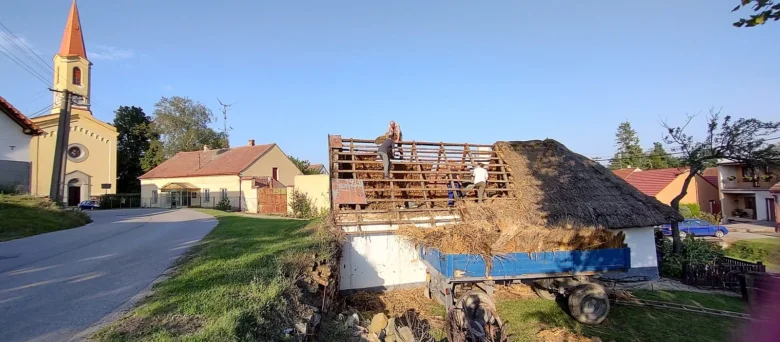 Tráva se sklízí na střechu chalupy pro doškovou krytinu.