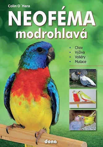 Neoféma modrohlavá sedící na větví s barevným peřím.