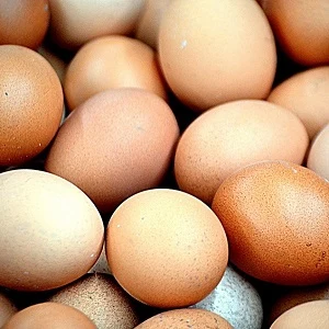 Hnědé vejce z slepice na přípravu jídla