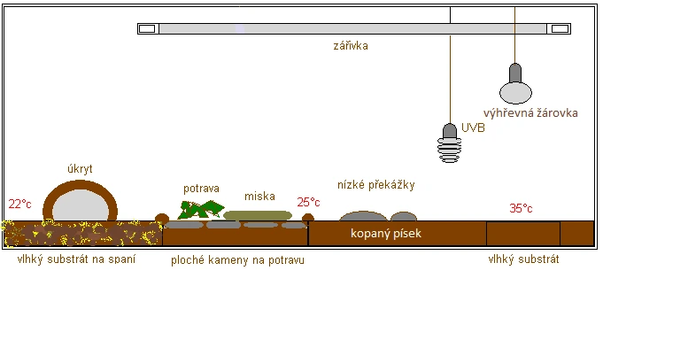 Schéma chovu želvy zelenavé s teplotními zónami.