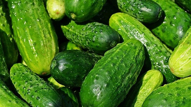 Čerstvé zelené okurky s kapkami vody.