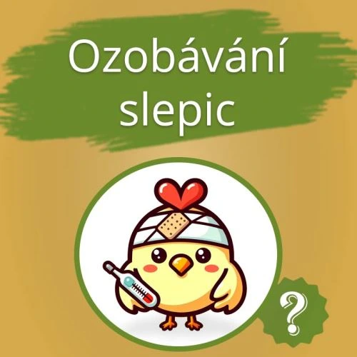 Ilustrace nemocného kuřete s termometrem pro článek o ozobování.