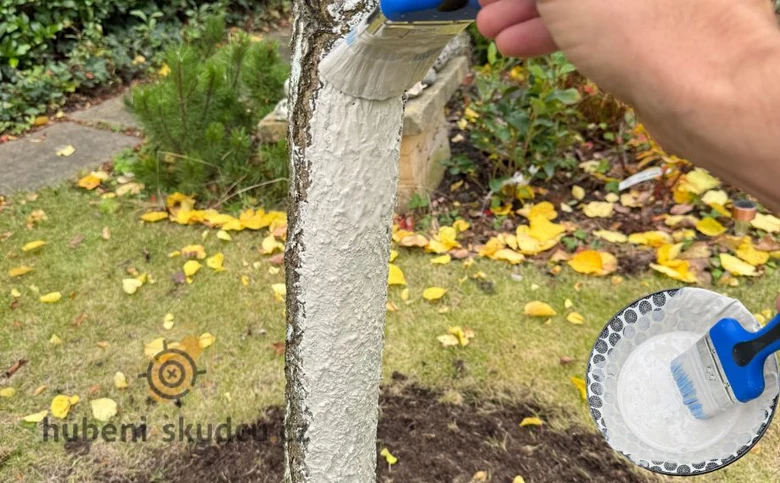 Nátěr vápenný na stromy – aplikace štětcem