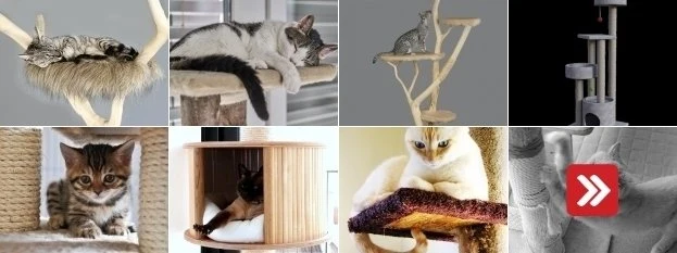 Různé typy škrabadel pro kočky s kočkami na nich.