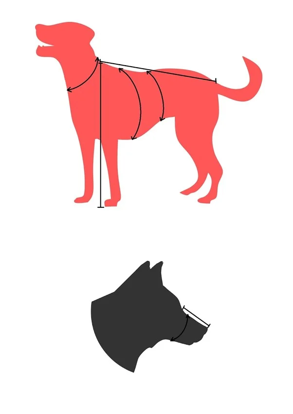 Diagram měření výšky psa v kohoutku.