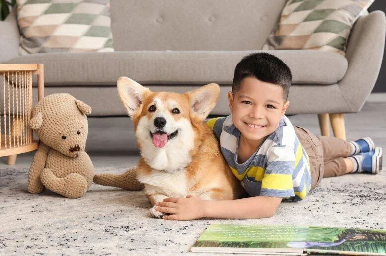 Chlapec leží vedle štastného welsh corgiho v obývacím pokoji.