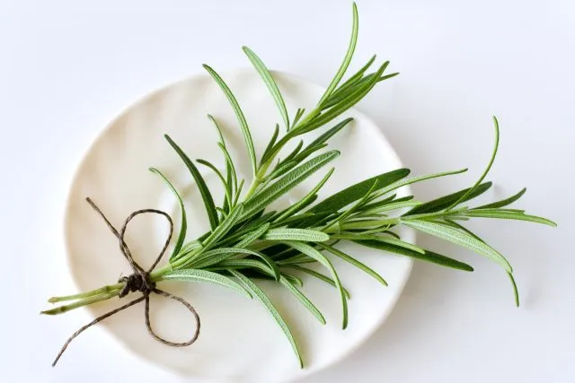 Rosemary sprig tied with twine