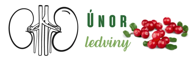 Ledviny a brusinky pro zdraví ledvin v únoru
