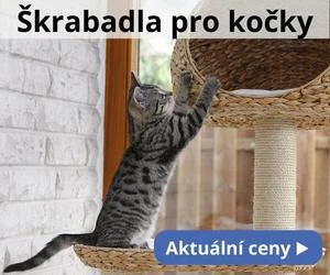 Kočka škrábe na dřevěném škrabadle pro kočky.