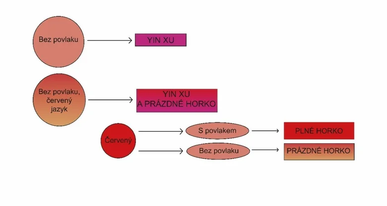 Diagram diagnosing internal heat by tongue and pulse