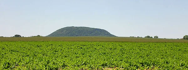 Hora Říp s lesy na pozadí zeleného pole.