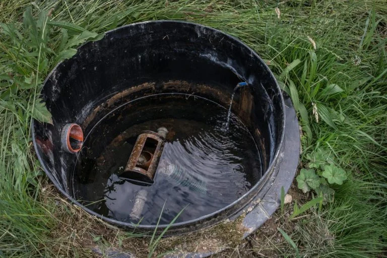 Domácí kořenová čistička z plastové nádoby venku